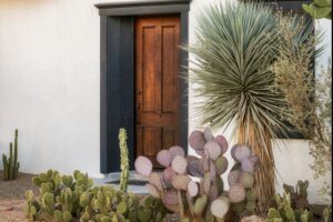 Tucson House Painting